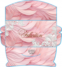 Plicuri pentru bani set 10 bucati CON-105