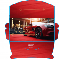 Plicuri pentru bani set 10 bucati CON-108