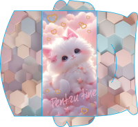 Plicuri pentru bani set 10 bucati CON-111