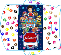 Plicuri pentru bani set 10 bucati CON-17