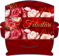 Plicuri pentru bani set 10 bucati CON-25