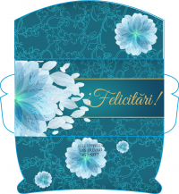 Plicuri pentru bani set 10 bucati CON-50