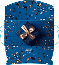 Plicuri pentru bani set 10 bucati CON-63