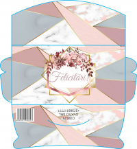 Plicuri pentru bani set 10 bucati CON-71