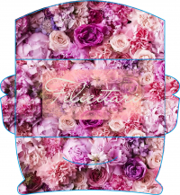 Plicuri pentru bani set 10 bucati CON-95