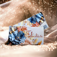 Plicuri pentru bani set 10 bucati CON-101