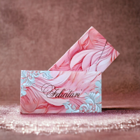 Plicuri pentru bani set 10 bucati CON-105