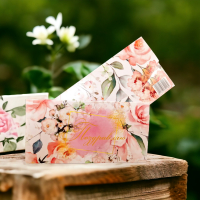 Plicuri pentru bani set 10 bucati CON-113