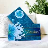 Plicuri pentru bani set 10 bucati CON-50