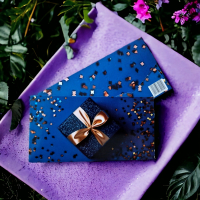 Plicuri pentru bani set 10 bucati CON-63