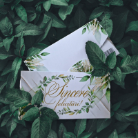 Plicuri pentru bani set 10 bucati CON-73